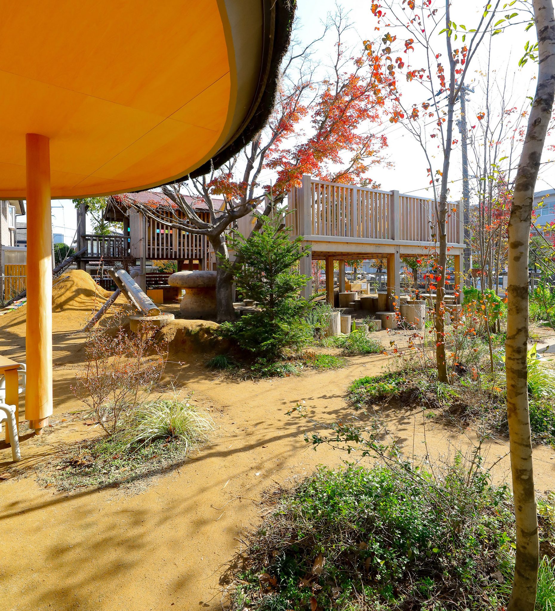 自然と直接触れ合い、楽しむ 園庭×あそび×ビオトープ「ASOBIO